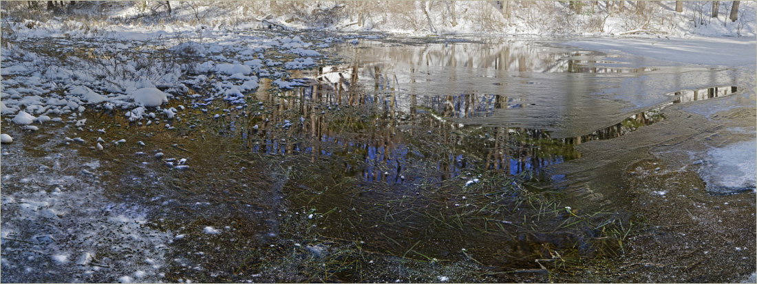 frozen pond